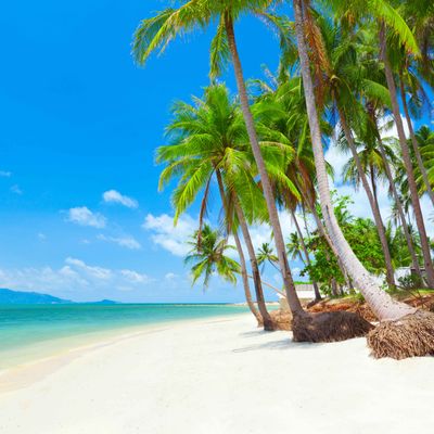 Koh Samui