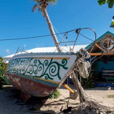Beef Island Trellis Bay